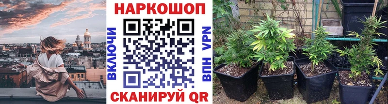 Купить закладку А ПВП  Меф  ГАШИШ  Новочебоксарск